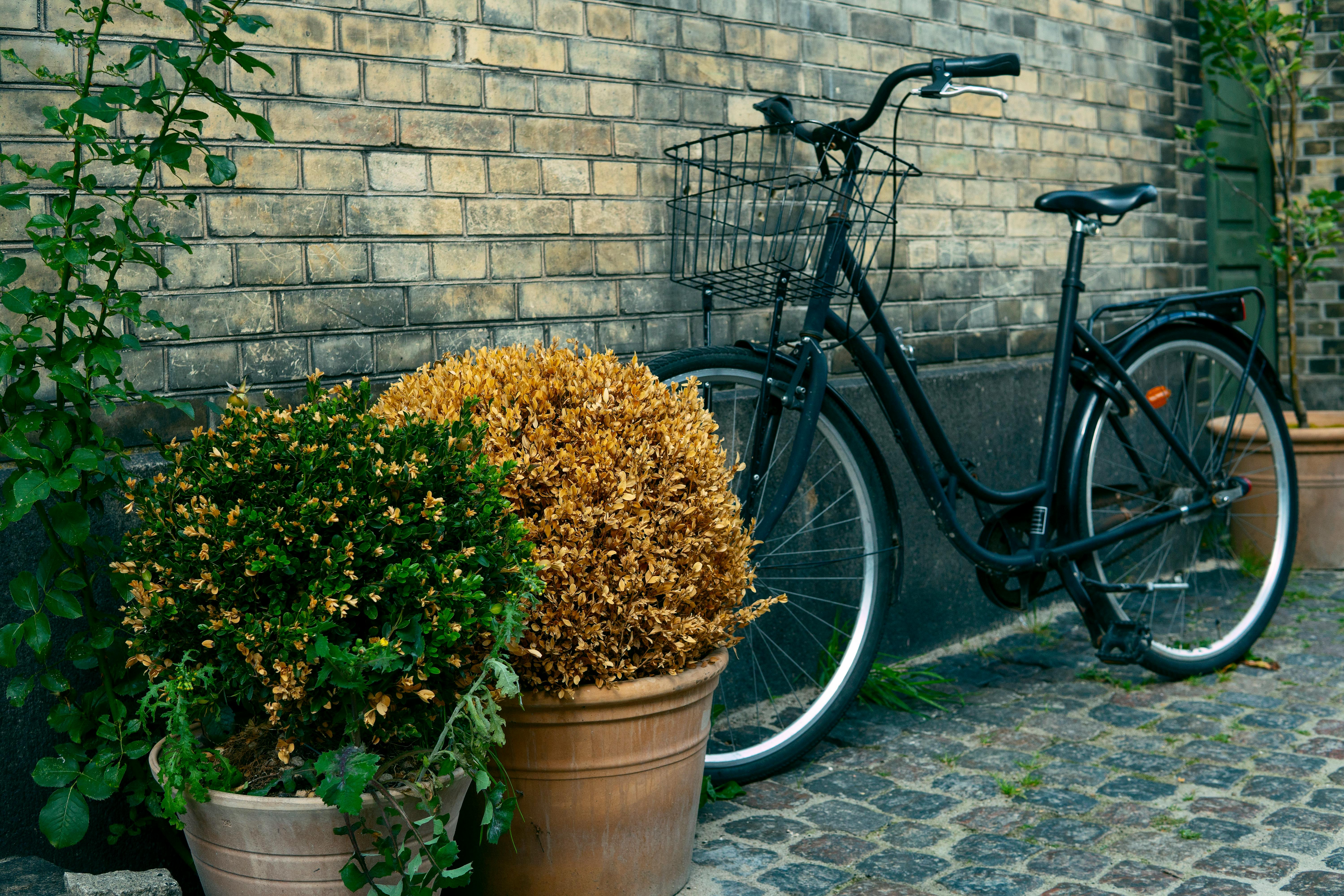 Eco-Friendly Commuting Options: Sustainable Ways to Travel
