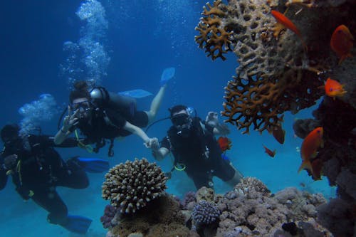 Free Three People Diving On Body Of Water Stock Photo