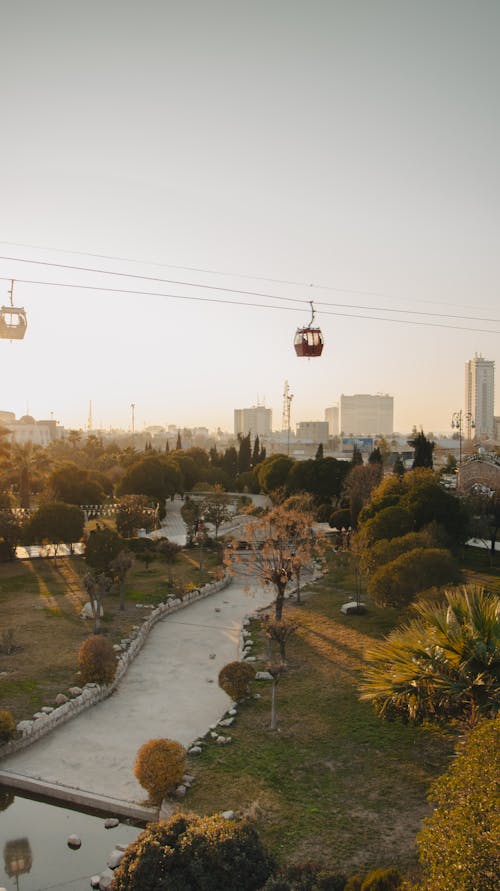Cable Car over River in Park