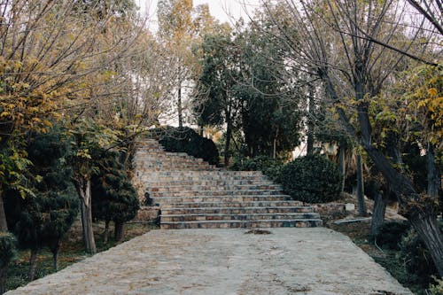 A Walkway in a Park 