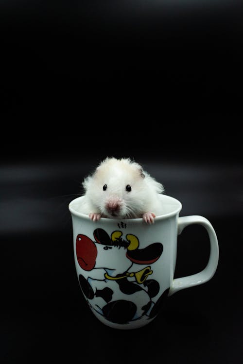 Mouse in Cup
