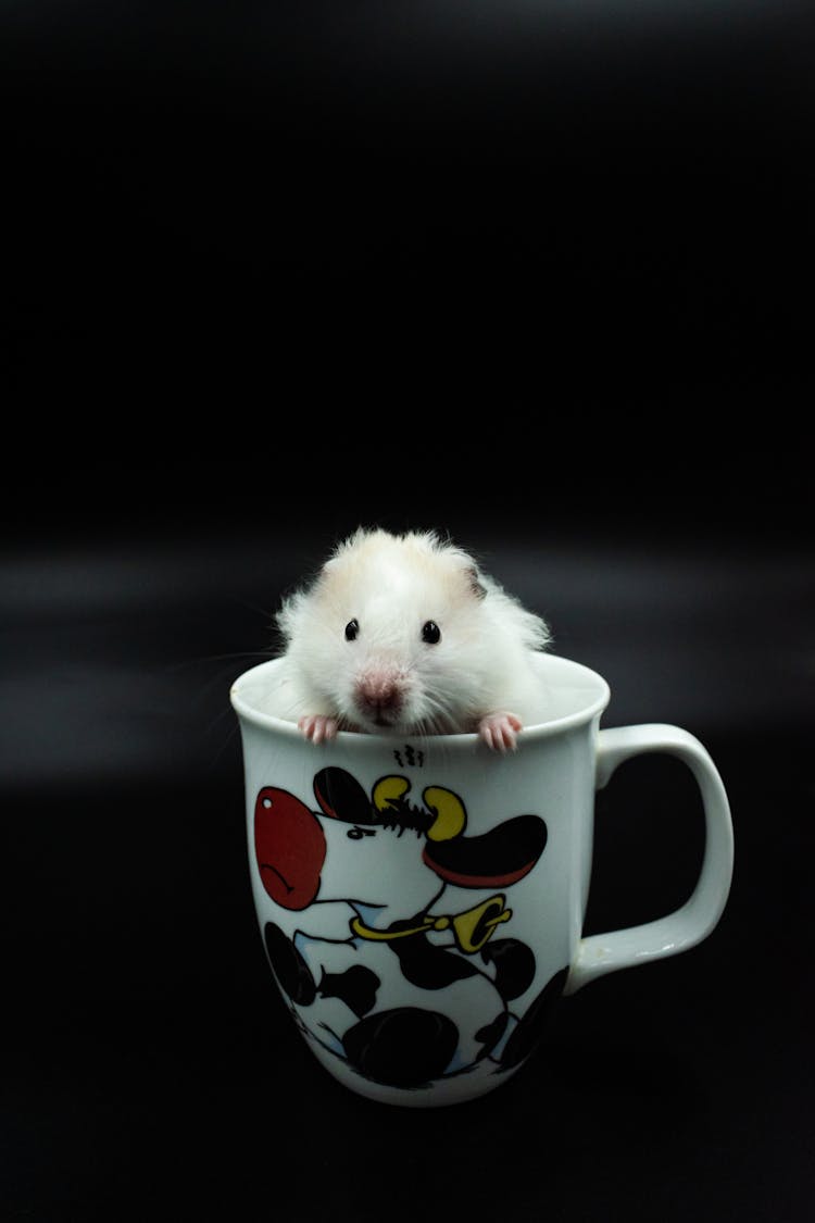 Mouse In Cup