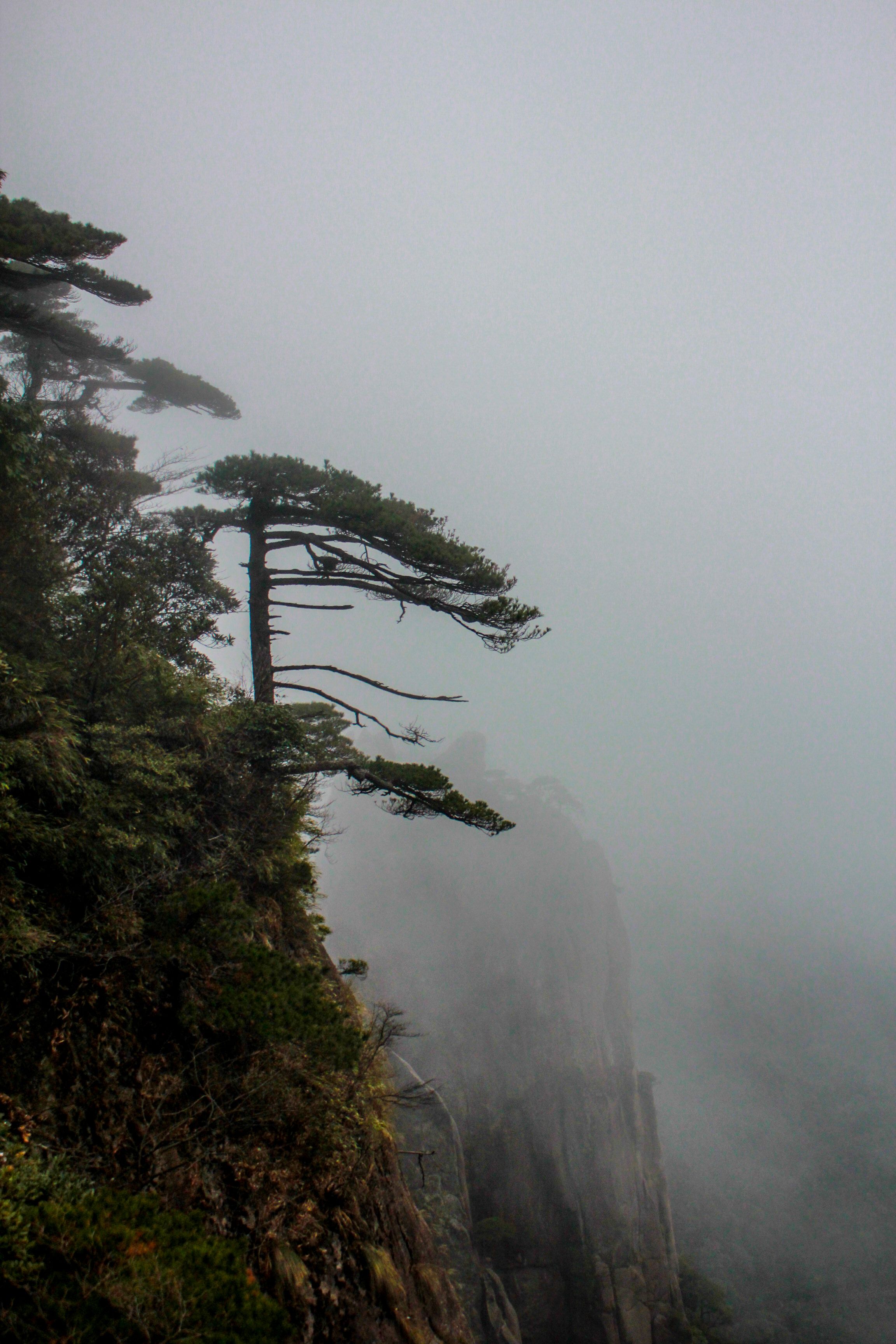 Fog over Rocks · Free Stock Photo