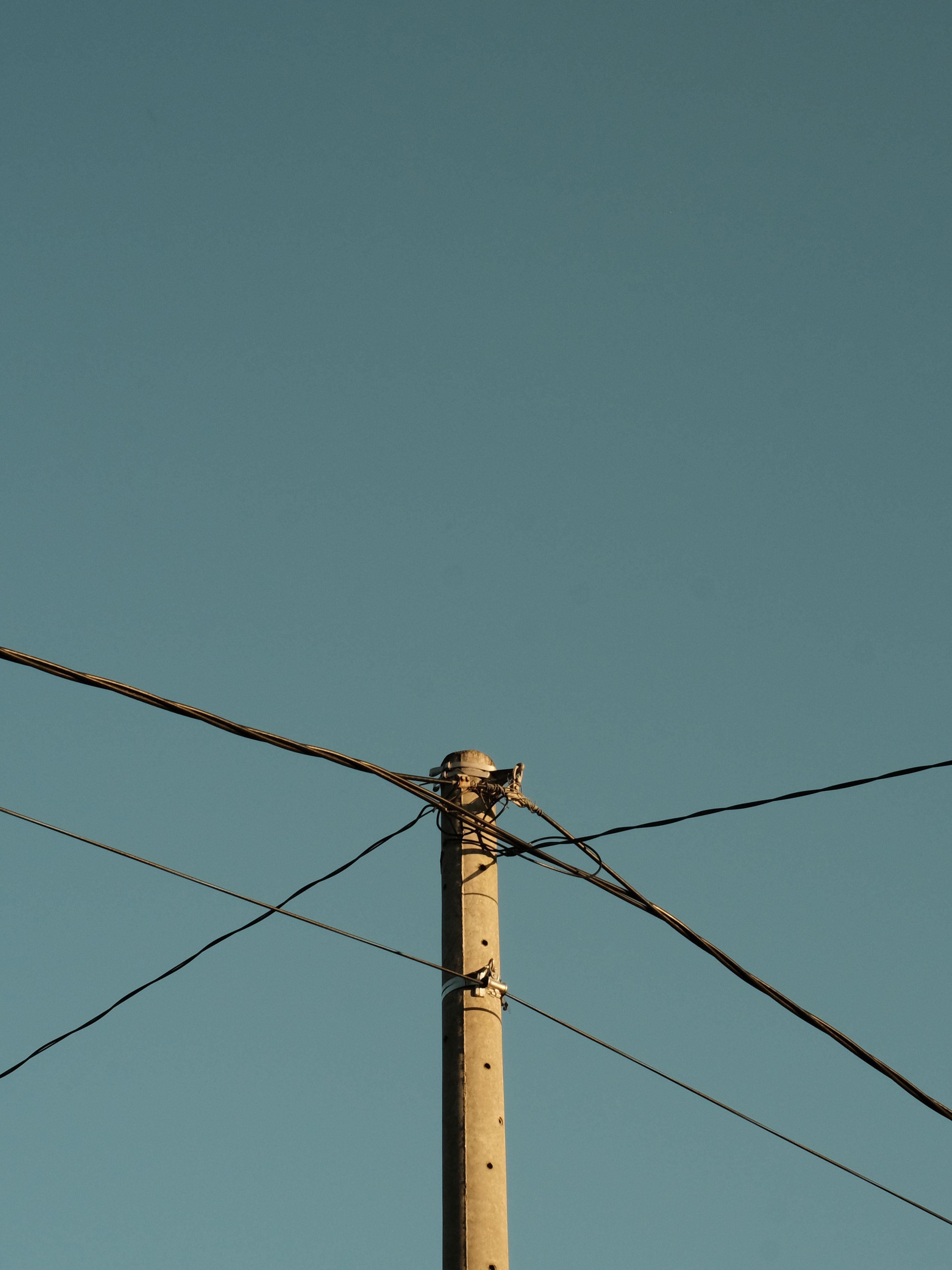 pexels-photo-15402741.jpeg