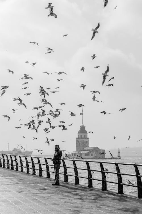 Man Standing on a Pier with the Maidens Tower in the Background and Birds Flying above Him 