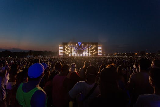 Group of Person Watching Concert Outdoors