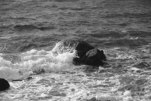 그레이스케일, 락, 바다의 무료 스톡 사진