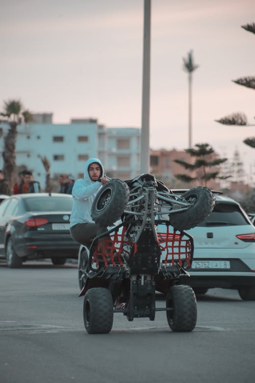 Fotobanka s bezplatnými fotkami na tému autá, automobilový priemysel, bifľoš