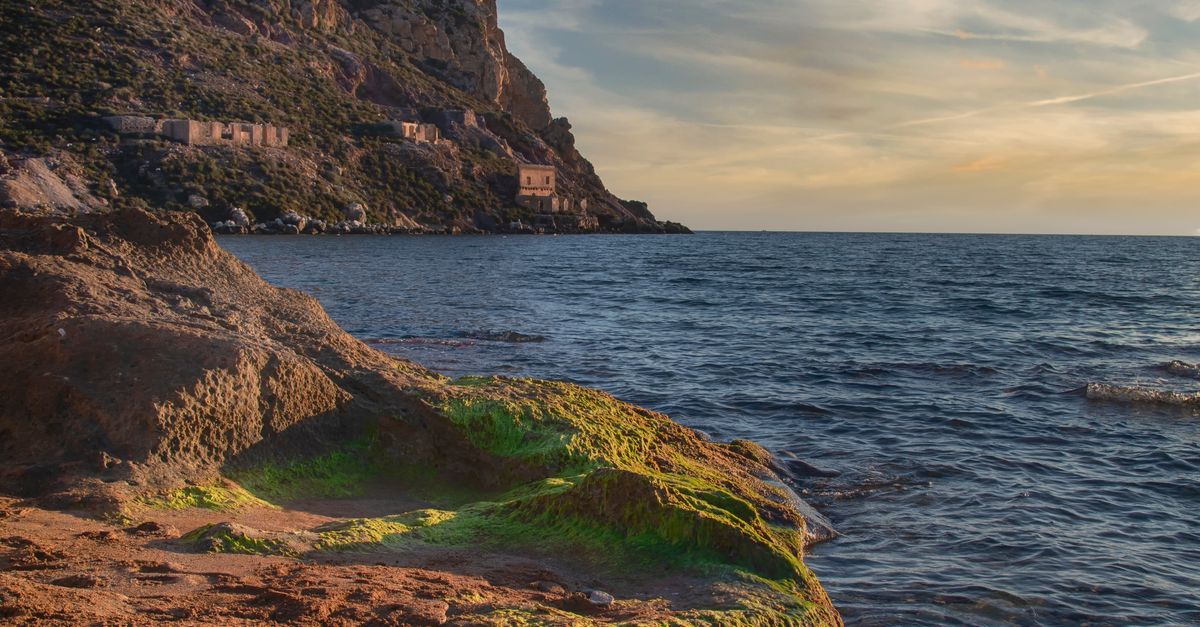 Rocks in Seashore · Free Stock Photo