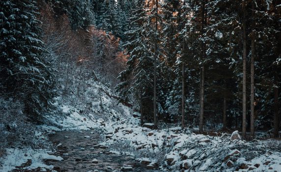 A serene snowy forest scene with a flowing stream surrounded by tall trees.