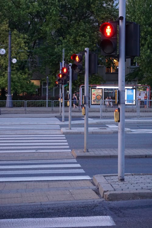 Photos gratuites de feu de signalisation, léger, lumière rouge