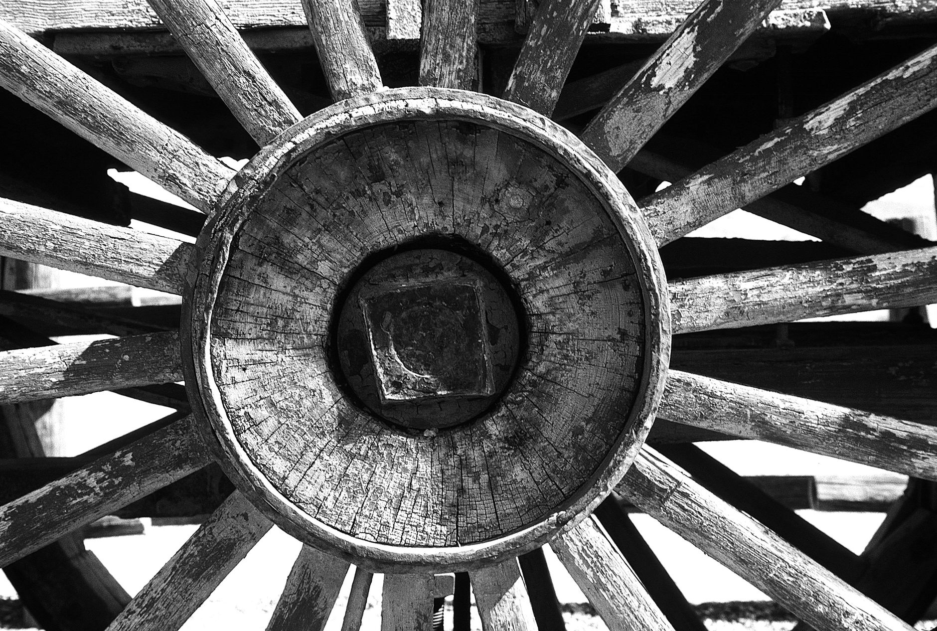 Wagon Wheels
