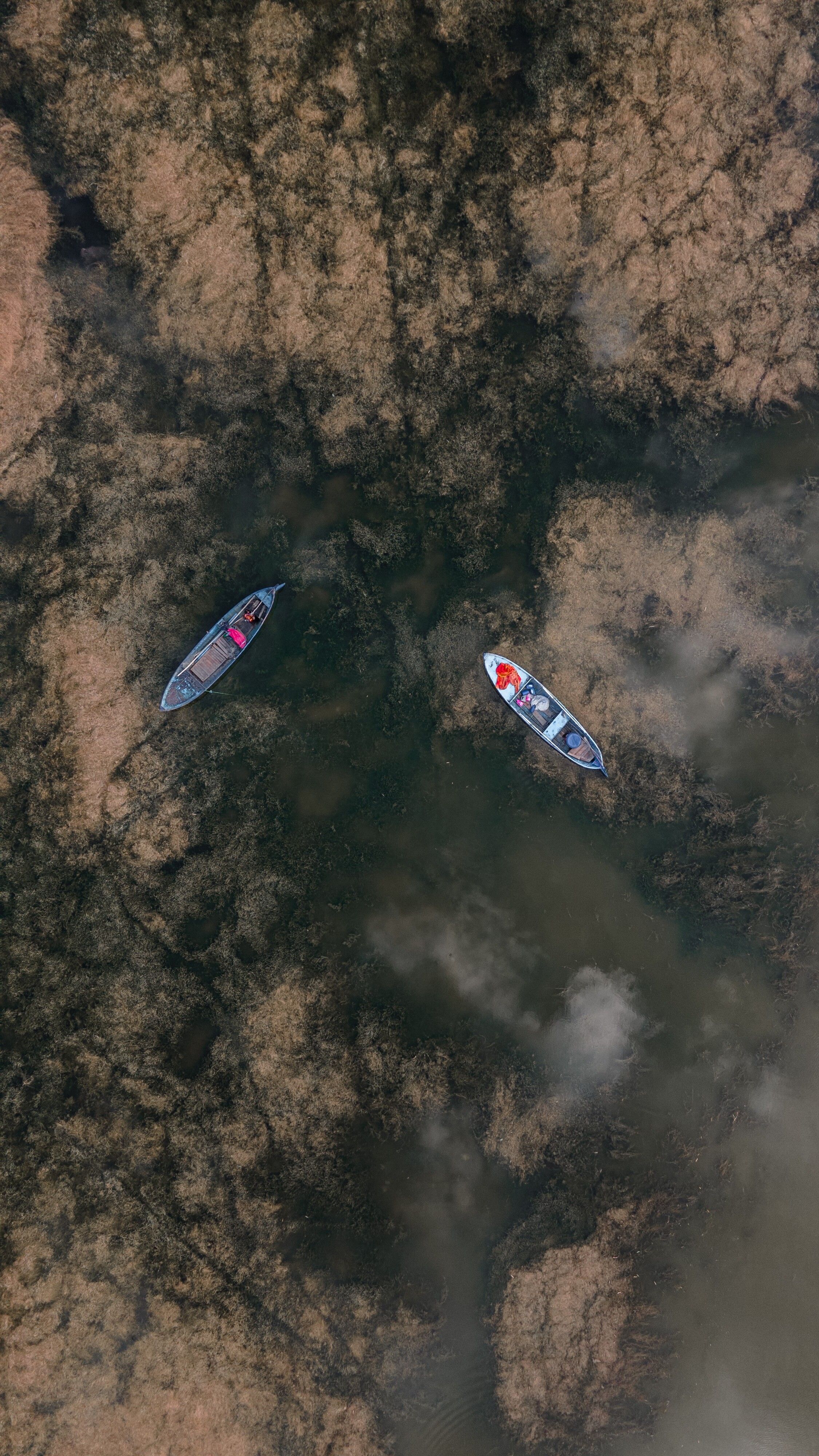 Top View of a Boat on the Water · Free Stock Photo