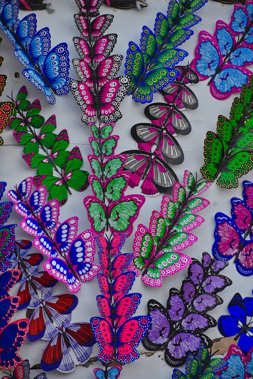 Foto profissional grátis de borboletas, cheio de cor, composição