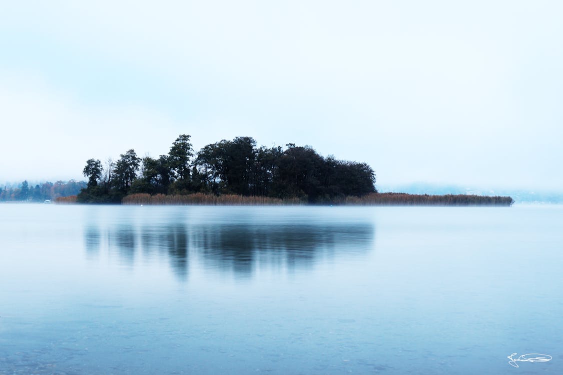 Free stock photo of early morning, fog, foggy