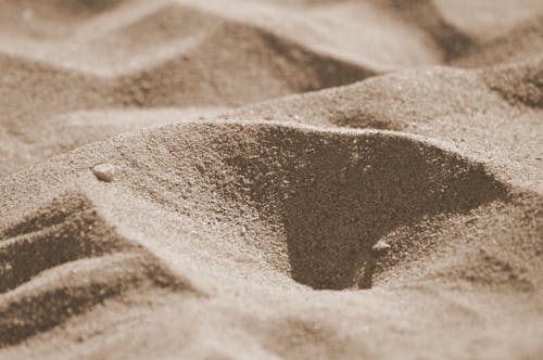 Kostenloses Stock Foto zu dürr, sand, strand