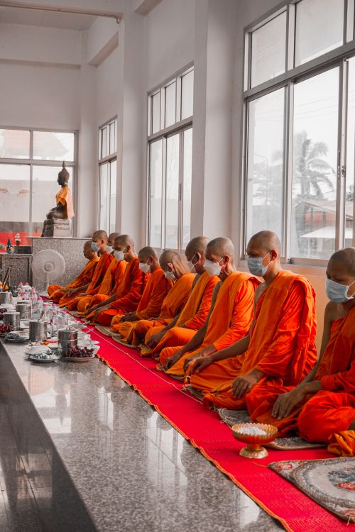 Free A group of monks in orange robes meditate inside a temple, all wearing face masks. Stock Photo