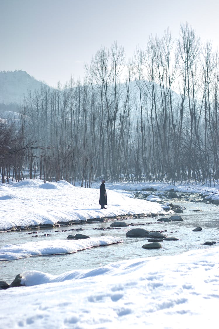 Person Standing On River Bank In Snow