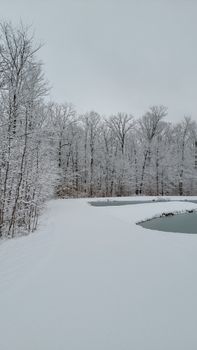 A tranquil snow-covered forest with serene water creates a peaceful winter landscape.