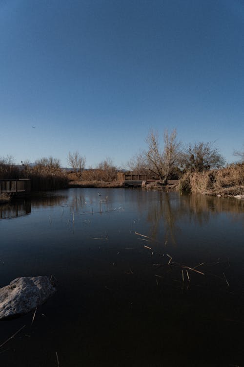 Photo of a Lake against a Clear Sky 