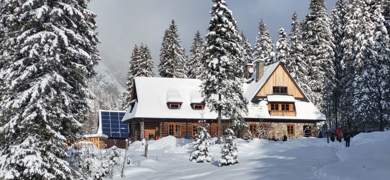 A cozy snow-covered chalet surrounded by a winter forest, showcasing serene natural beauty.