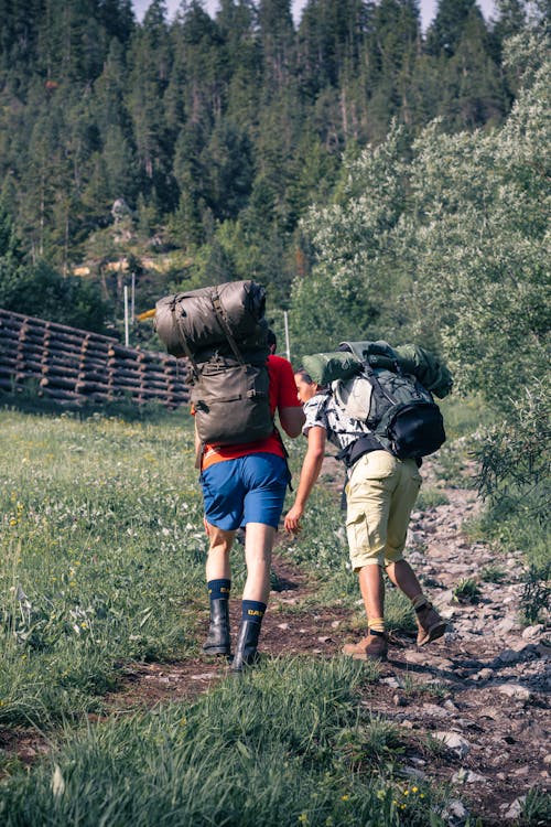 People with Backpacks Hiking on Footpath towards Forest