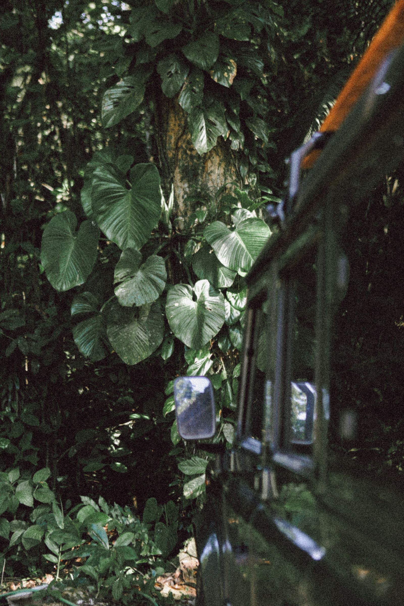 Berline avec chauffeur — Île Maurice — photo 5