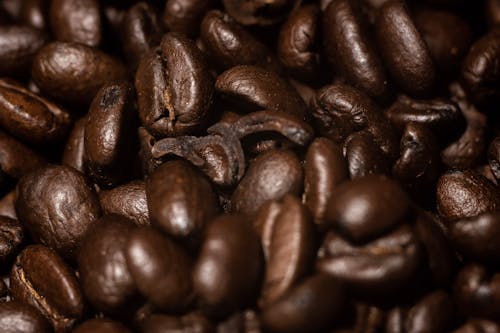 Brown Roasted Coffee Beans in Close-Up Photography