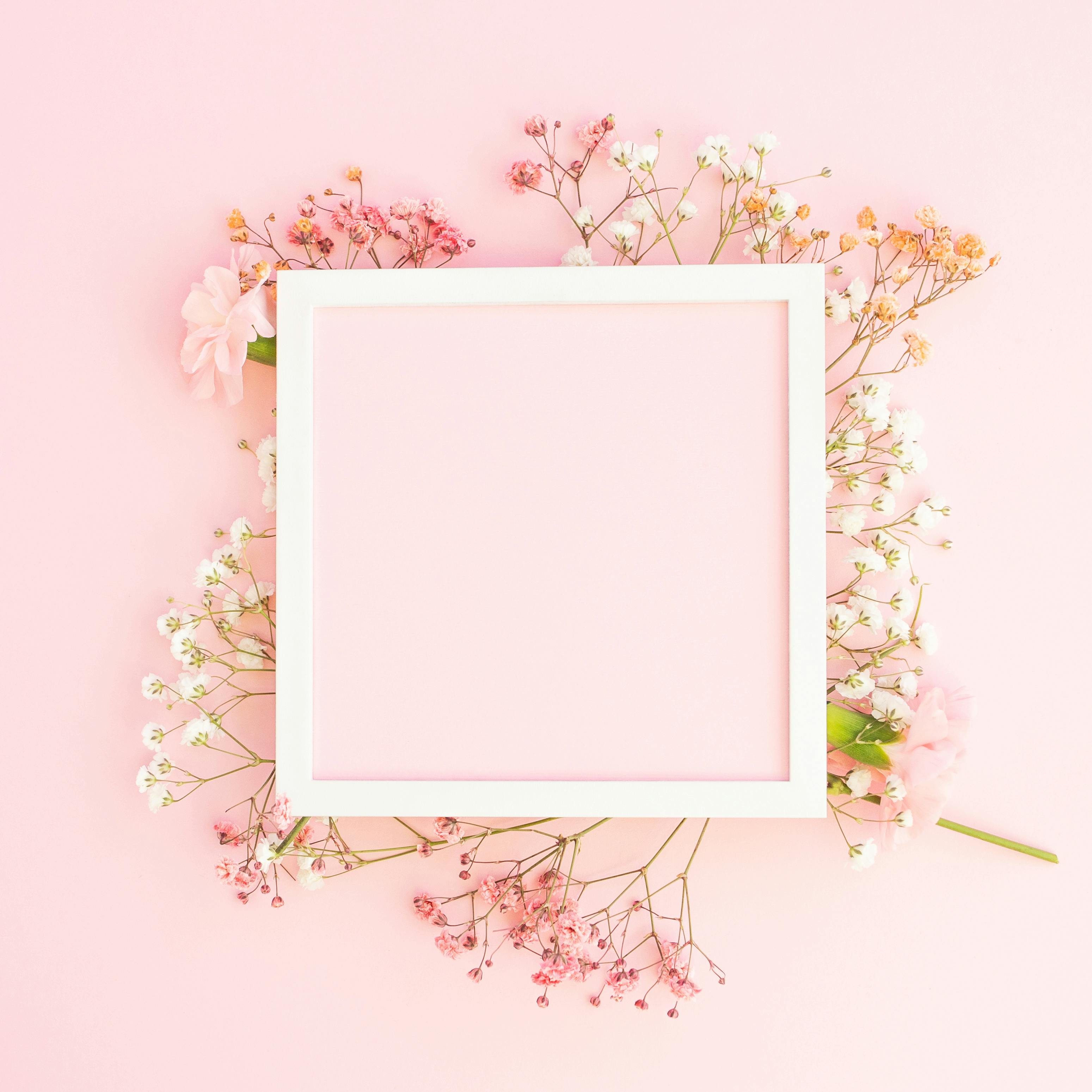 Free Stock Photo of Flower Background - Pink Frame