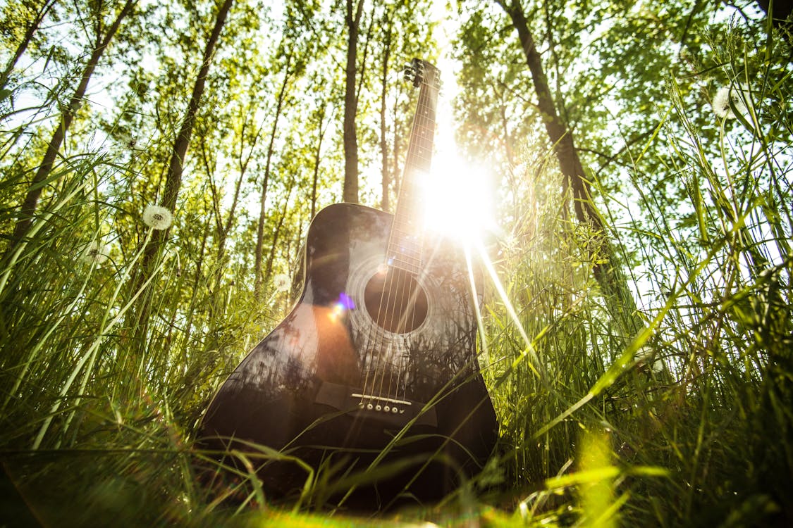 Low-angle Photography of Black Dreadnought Acoustic Guitar Surrounded by Trees