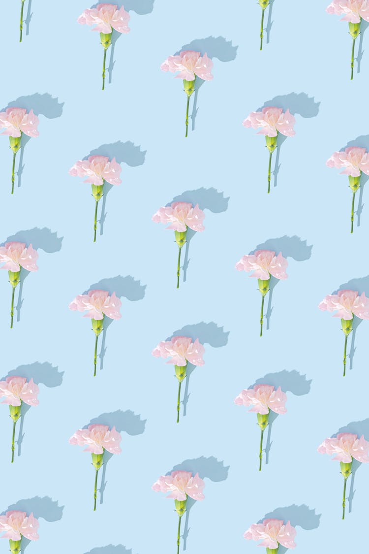 Pink Flowers On Blue Background