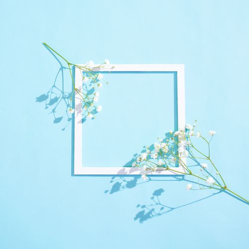 White frame and baby's breath on pale blue — photo by Amel Uzunovic on Pexels