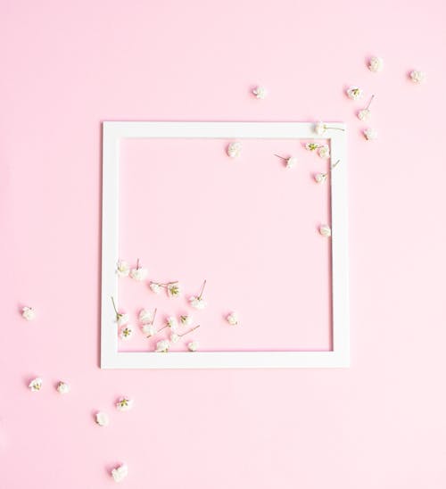 Pastel Pink Image with Flowers and a Frame