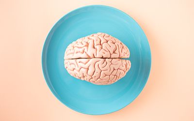 Não của ruồi giấm có thể giúp giải thích hành vi con người