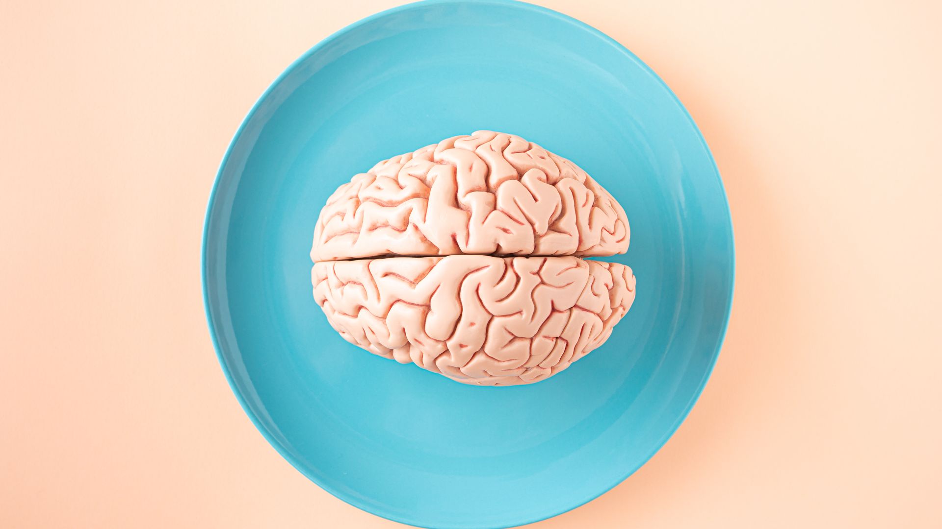 Modafinil's Cognitive Effects: Unlocking Your Brain's Potential A human brain model placed on a blue plate, viewed from above against a pastel background.