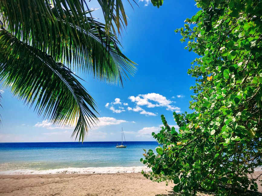 Martinique Beach