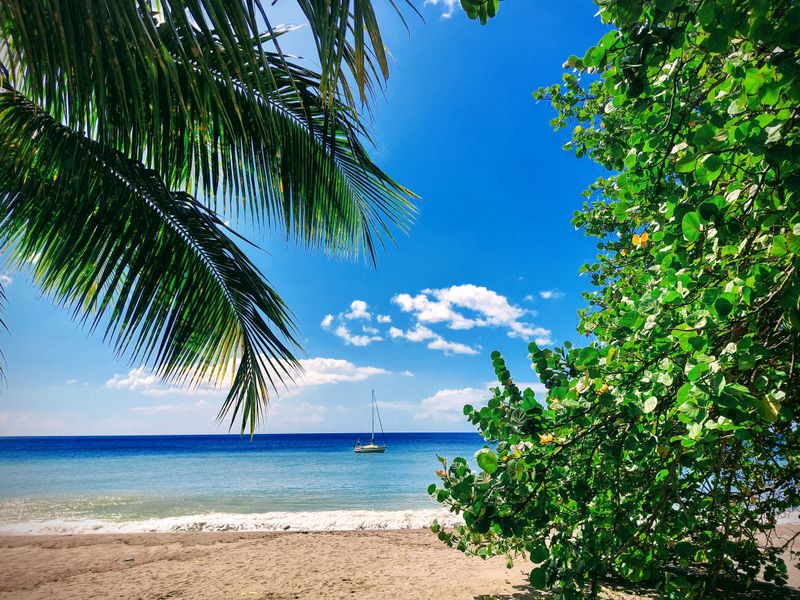 Formalités pour vivre en Martinique