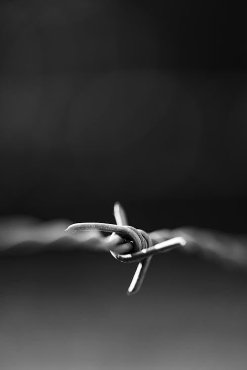Close-up of a Barbed Wire
