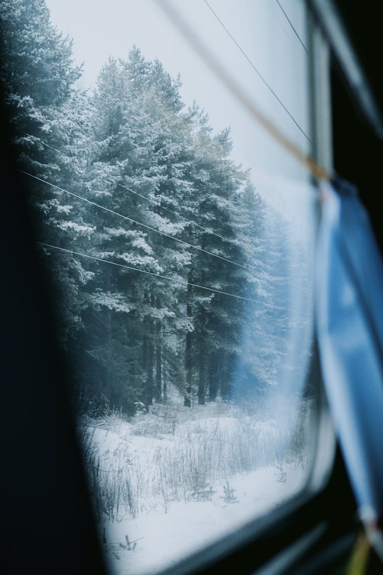 View On Winter Forest From Train Window