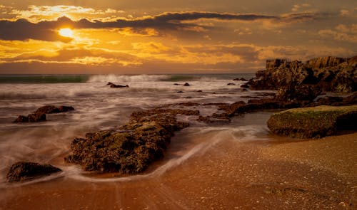 Foto profissional grátis de beira-mar, borrifando, cair da noite