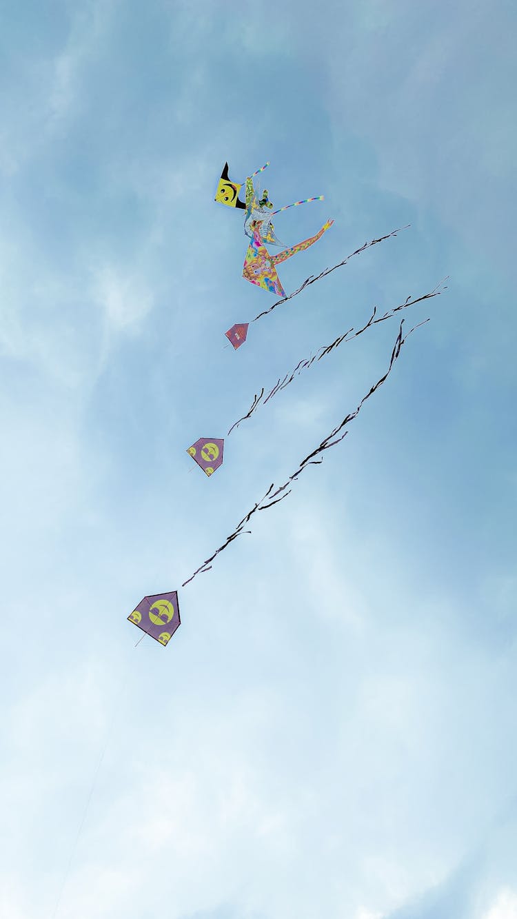 Kites In The Sky 