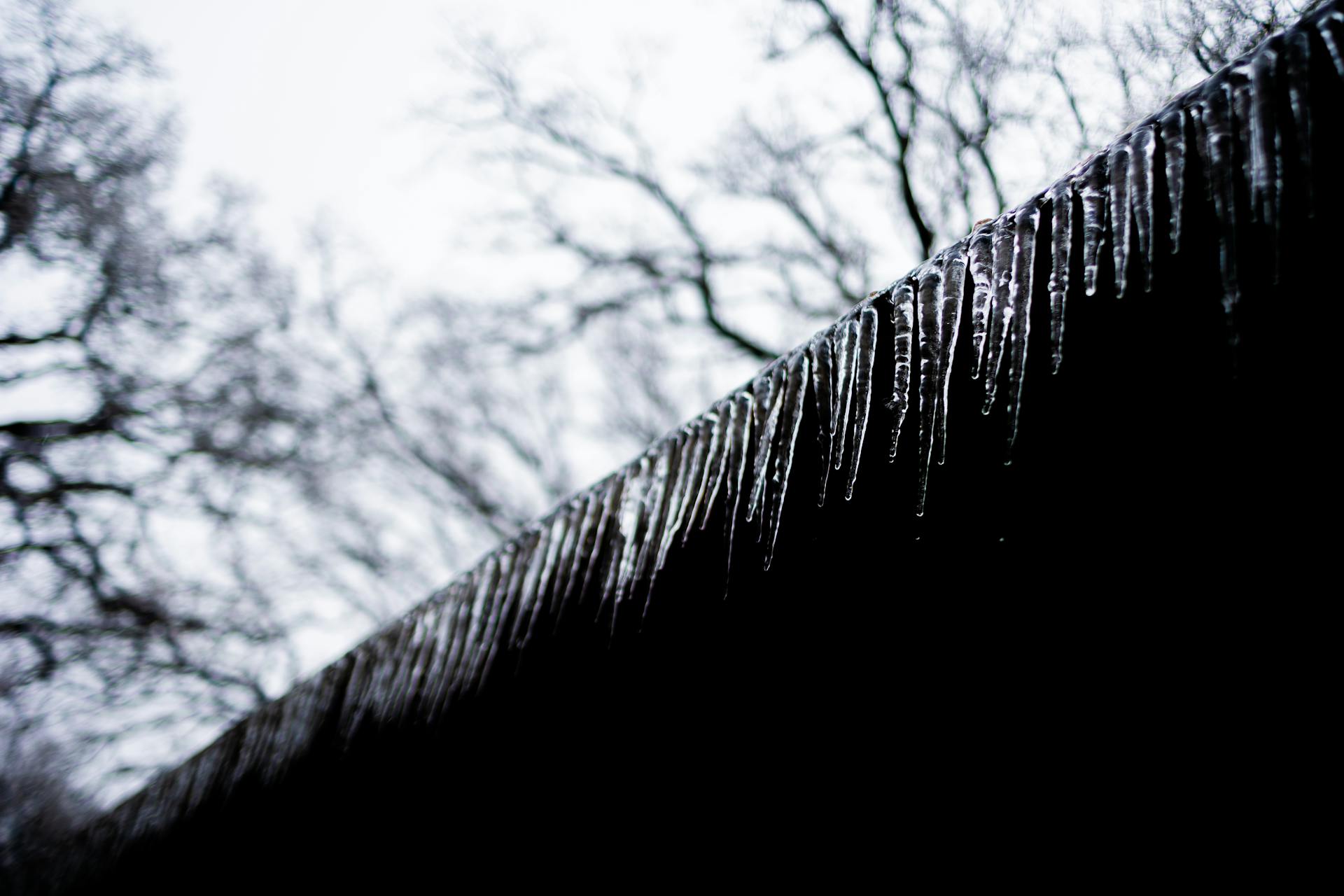 Close-up of icicles hanging from a roof against a winter backdrop.