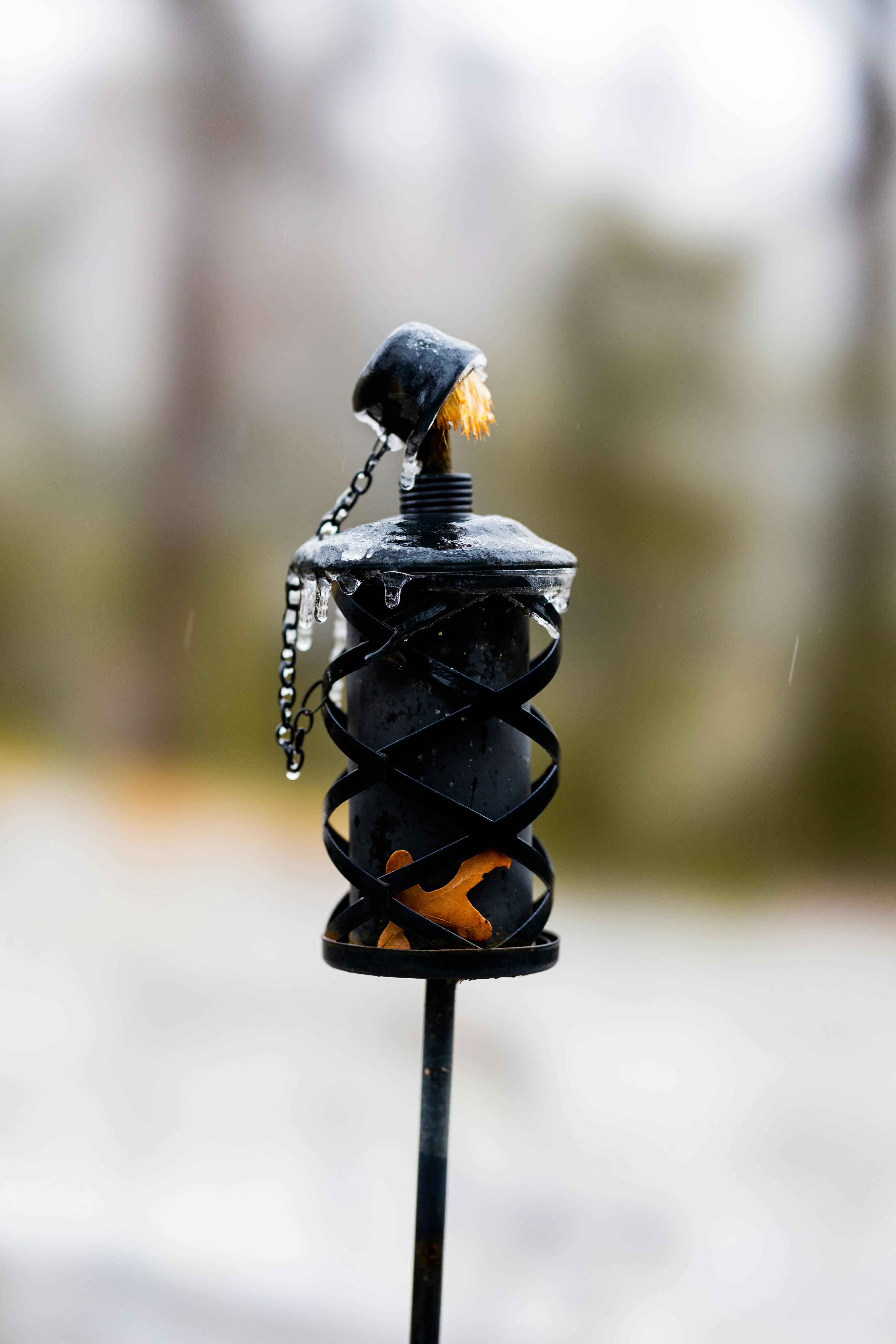 Killing Photos, Download The BEST Free Killing Stock Photos & HD Images