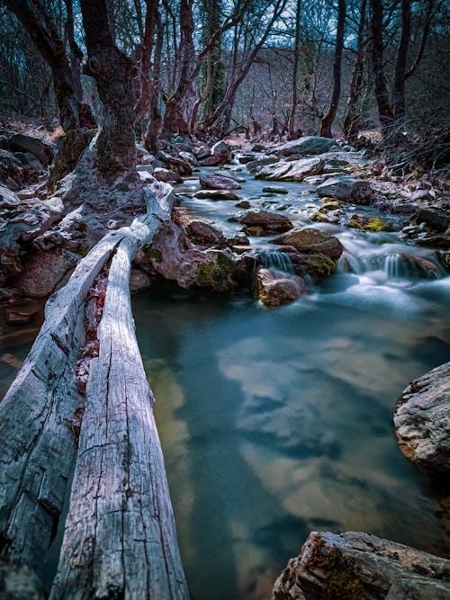 Free stock photo of creek, forest, greece