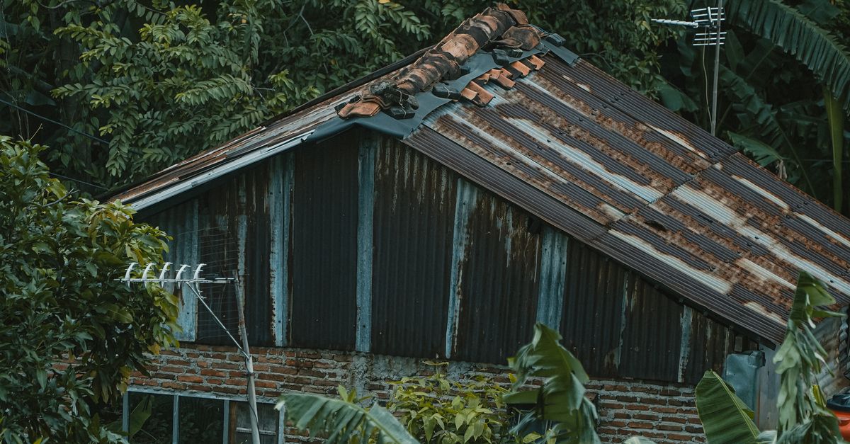 Rusted Building in a Jungle · Free Stock Photo