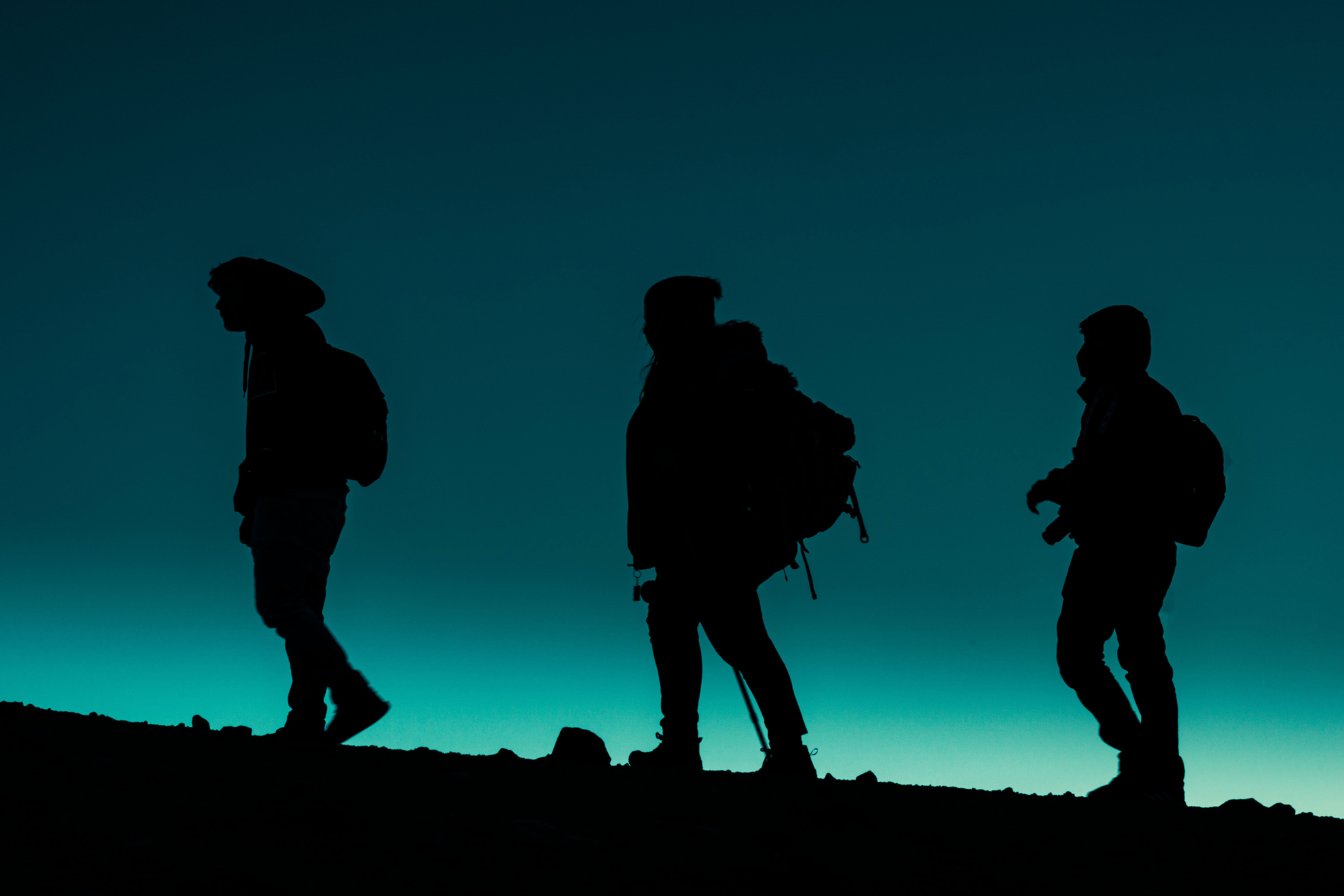 general travel staff — Photo by Ezkol Arnak on Pexels