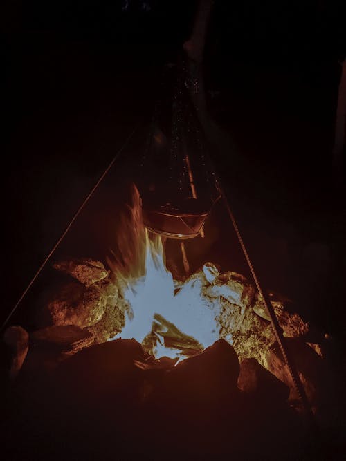 Free stock photo of bushcraft, cook, fire
