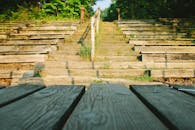 阳光明媚的木制圆形剧场座位，在宁静的森林环境中，绿叶充满生机