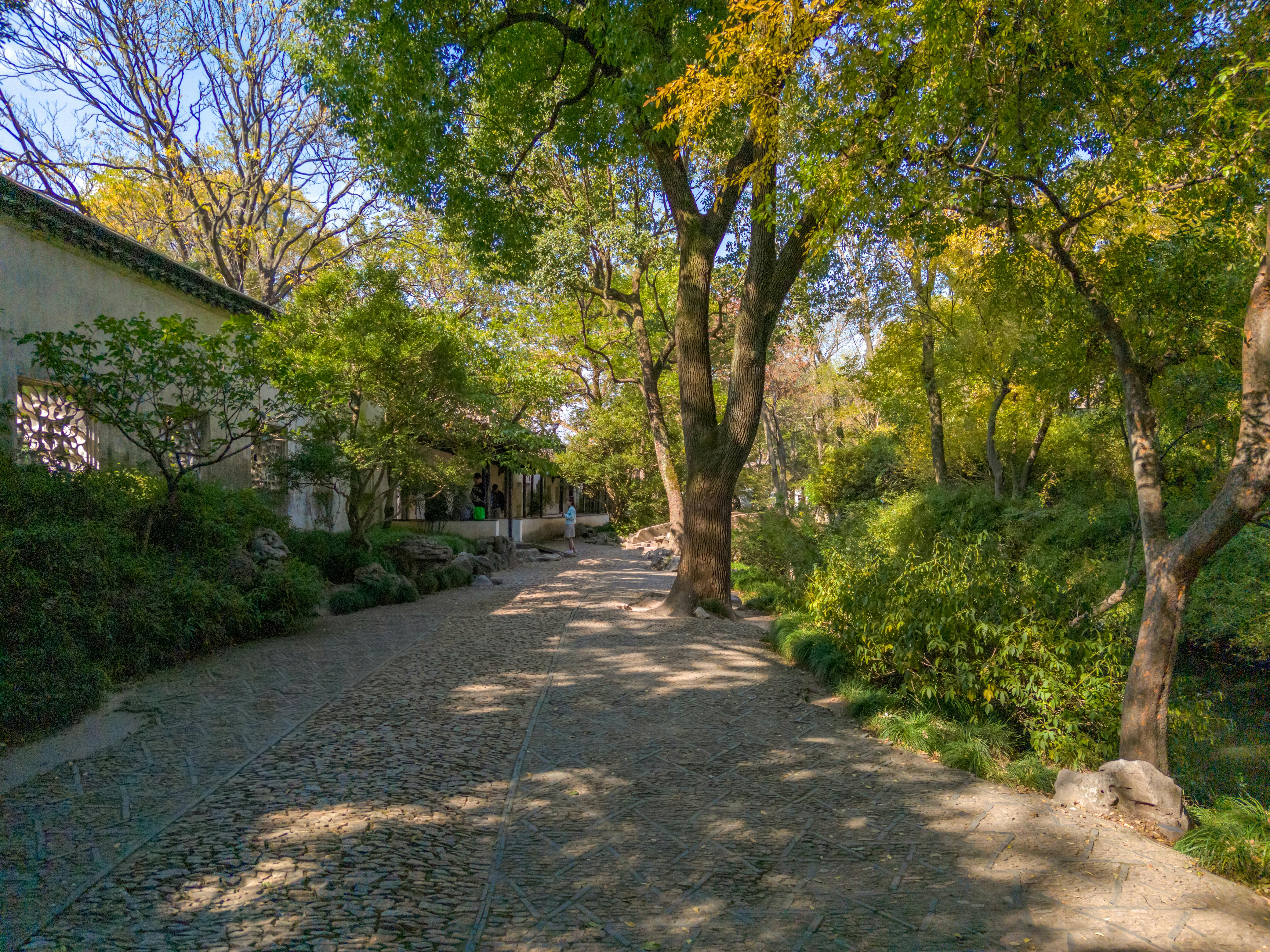 Discovering the Secret Green Oasis in Urban Living Innovation