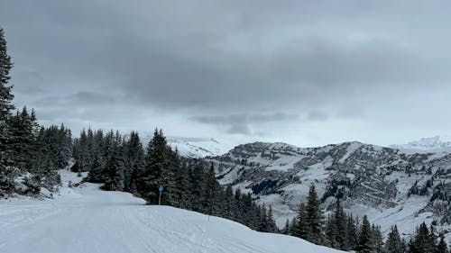 Skiing Trail in Winter